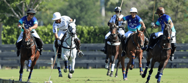 PALM BEACH POLO